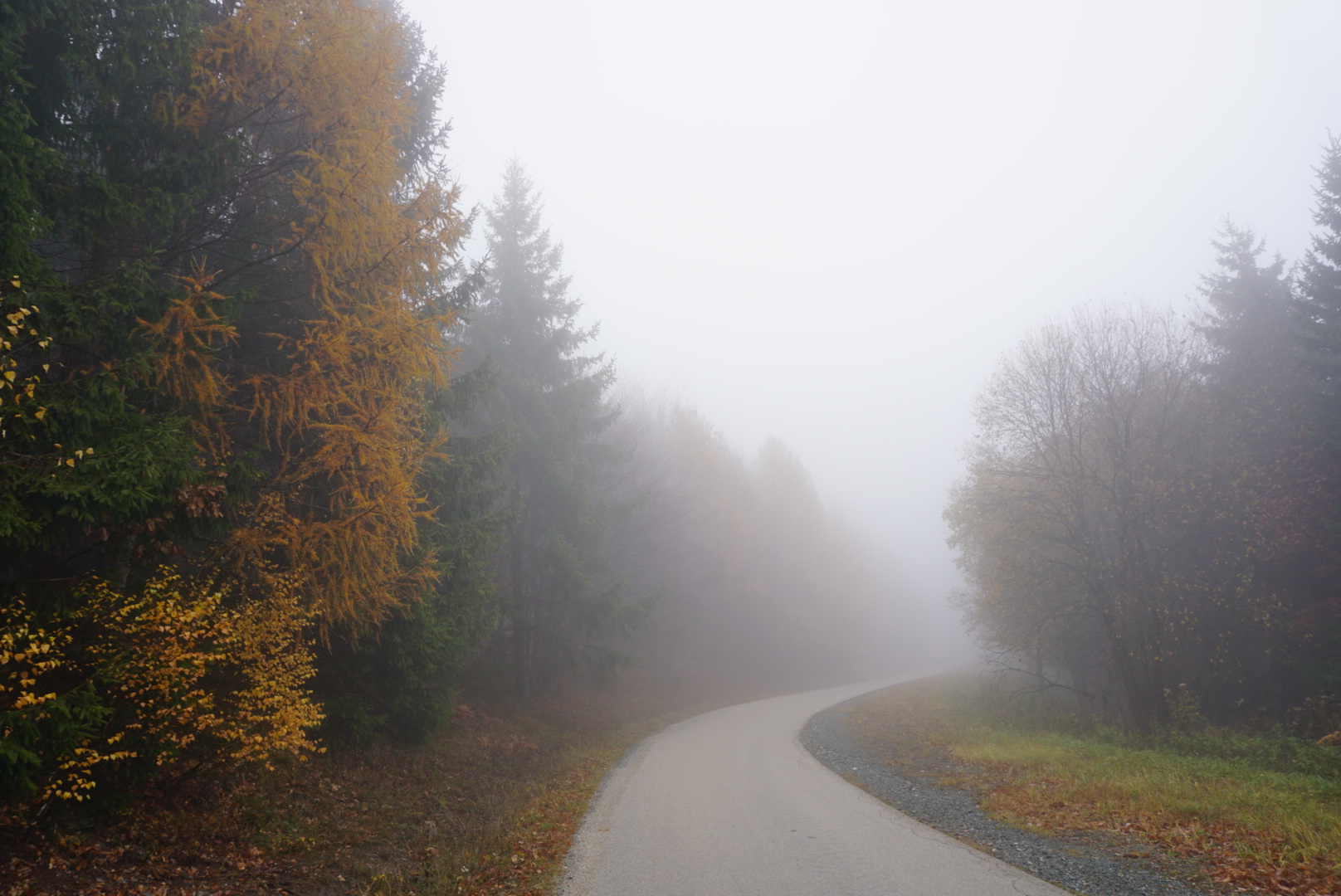 őszi köd